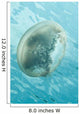 Translucent Jellyfish Floating near Wall Decal