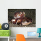 Coconut Octopus Carrying Clam Wall Decal
