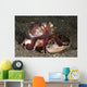 Coconut Octopus Carrying Clam Wall Decal