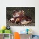 Coconut Octopus Carrying Clam Wall Decal