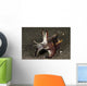 Cuttlefish with Tentacles Extended Wall Decal