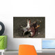 Cuttlefish with Tentacles Extended Wall Decal
