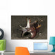 Cuttlefish with Tentacles Extended Wall Decal