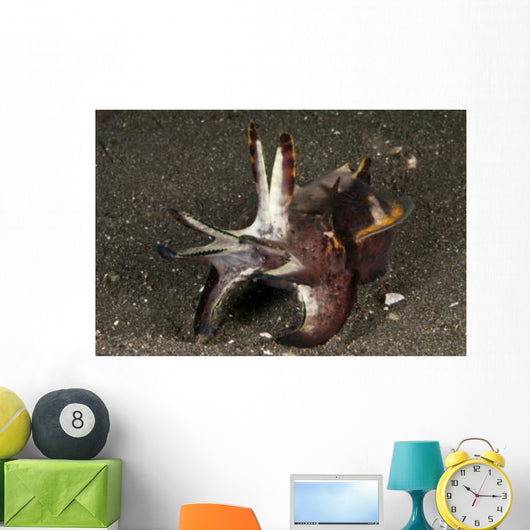 Cuttlefish with Tentacles Extended Wall Decal