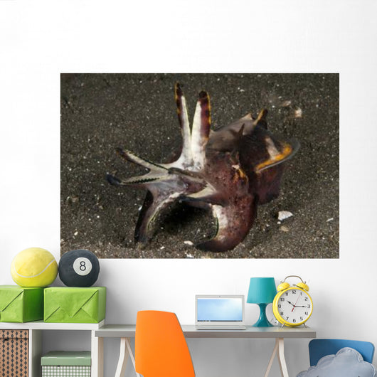 Cuttlefish with Tentacles Extended Wall Decal