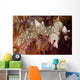 Sea Snails Laying Eggs Wall Decal