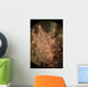 Orange and White Nudibranch Wall Decal