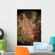 Orange and White Nudibranch Wall Decal