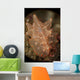 Orange and White Nudibranch Wall Decal
