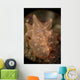 Orange and White Nudibranch Wall Decal
