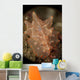 Orange and White Nudibranch Wall Decal