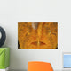 Extreme Close-up Orange Frogfish Wall Decal