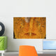 Extreme Close-up Orange Frogfish Wall Decal