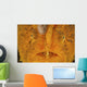 Extreme Close-up Orange Frogfish Wall Decal