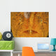 Extreme Close-up Orange Frogfish Wall Decal