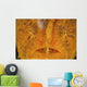 Extreme Close-up Orange Frogfish Wall Decal