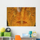 Extreme Close-up Orange Frogfish Wall Decal