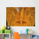 Extreme Close-up Orange Frogfish Wall Decal