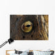 Detail Eye Snake Eel Wall Decal
