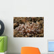 Solar-powered Nudibranch North Sulawesi Wall Decal