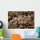 Solar-powered Nudibranch North Sulawesi Wall Decal