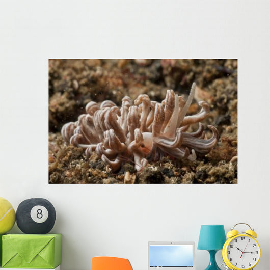 Solar-powered Nudibranch North Sulawesi Wall Decal