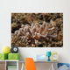Solar-powered Nudibranch North Sulawesi Wall Decal