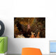 Shrimp with Legs and Wall Decal