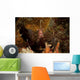 Shrimp with Legs and Wall Decal