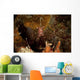 Shrimp with Legs and Wall Decal