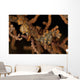Pair Yellow Pygmy Seahorse Wall Decal