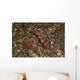 Striated Goby and Blind Wall Decal