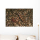Striated Goby and Blind Wall Decal