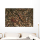 Striated Goby and Blind Wall Decal