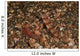 Striated Goby and Blind Wall Decal