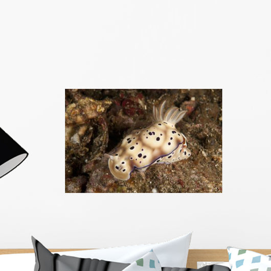 Chromodoris Kunei Nudibranch Carrying Wall Decal