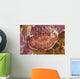 Red and White Chromodoris Wall Decal