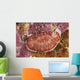Red and White Chromodoris Wall Decal