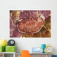 Red and White Chromodoris Wall Decal