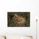 Sea Hare with Extended Wall Decal