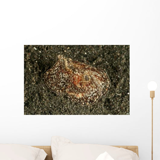 Sea Hare with Extended Wall Decal
