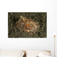 Sea Hare with Extended Wall Decal