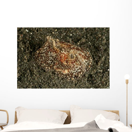 Sea Hare with Extended Wall Decal