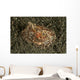 Sea Hare with Extended Wall Decal