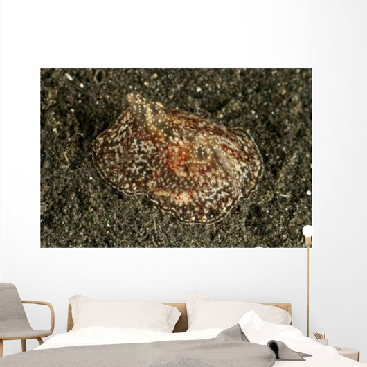 Sea Hare with Extended Wall Decal
