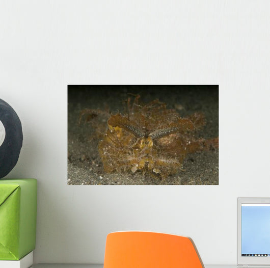 Green Ambon Scorpionfish North Wall Decal Design 1