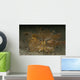 Green Ambon Scorpionfish North Wall Decal Design 1