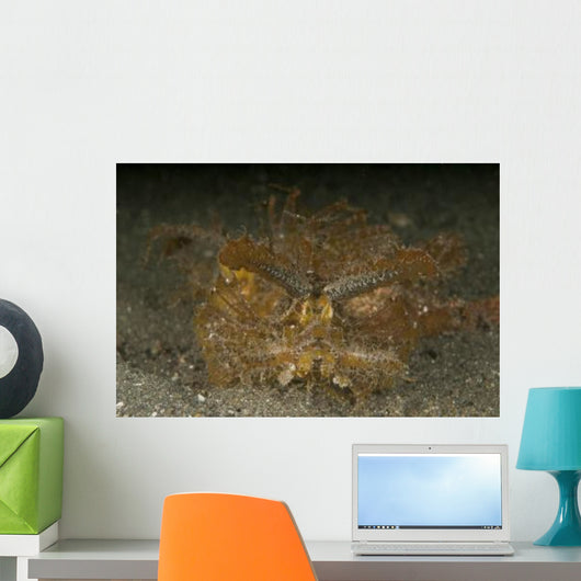 Green Ambon Scorpionfish North Wall Decal Design 1