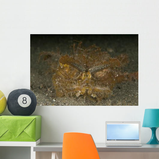 Green Ambon Scorpionfish North Wall Decal Design 1