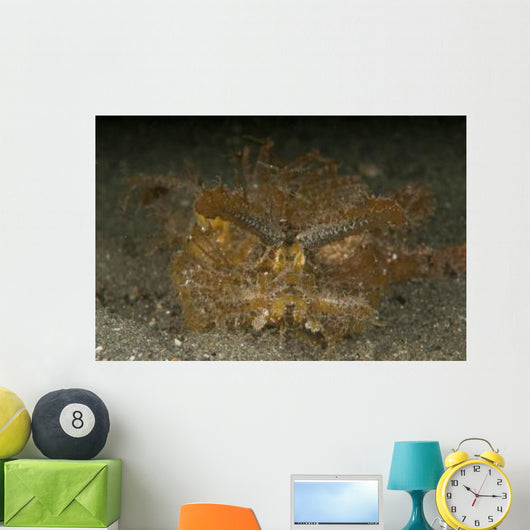 Green Ambon Scorpionfish North Wall Decal Design 1